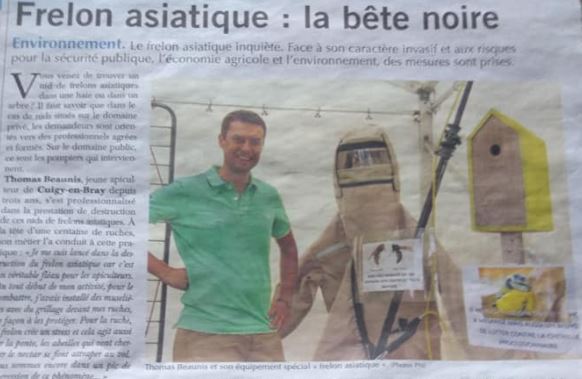 image article paris normandie sur les frelon asiatique avec Thomas Beaunis